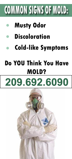Stockton Mold Remediation Contractor